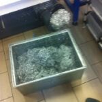 15218303_1136700229745776_1732560709_n