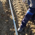 15227997_641232632716847_300766559_n