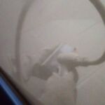 15240067_569972293128128_374875103_n