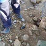 15301285_641232642716846_434187137_n