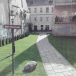 22494681_1326671014110396_536276427_o