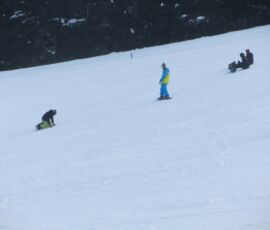 IMG_1351