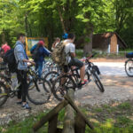 WP_20170526_12_04_20_Pro