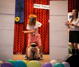 den2013zst48
