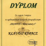 Dyplom Klaudia Kopacz
